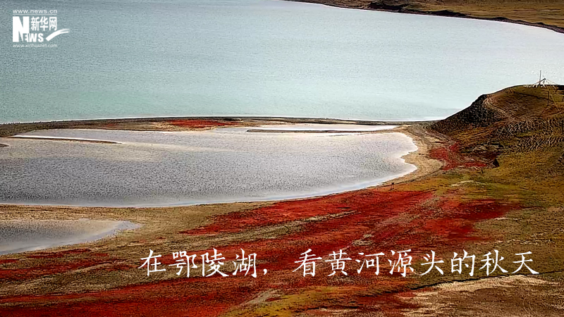 三江源慢直播丨在鄂陵湖，看黃河源頭的秋天