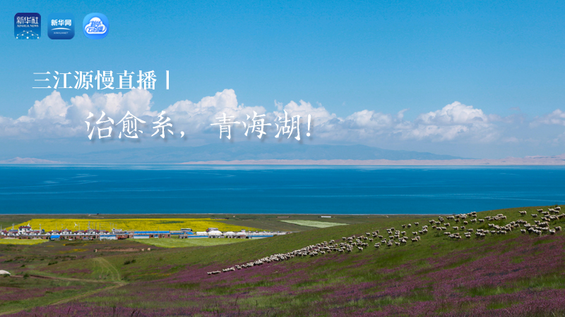 三江源慢直播丨治愈系，青海湖！